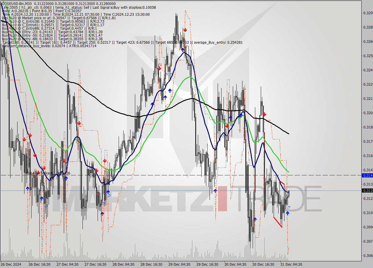 DOGEUSD-Bin M30 Signal