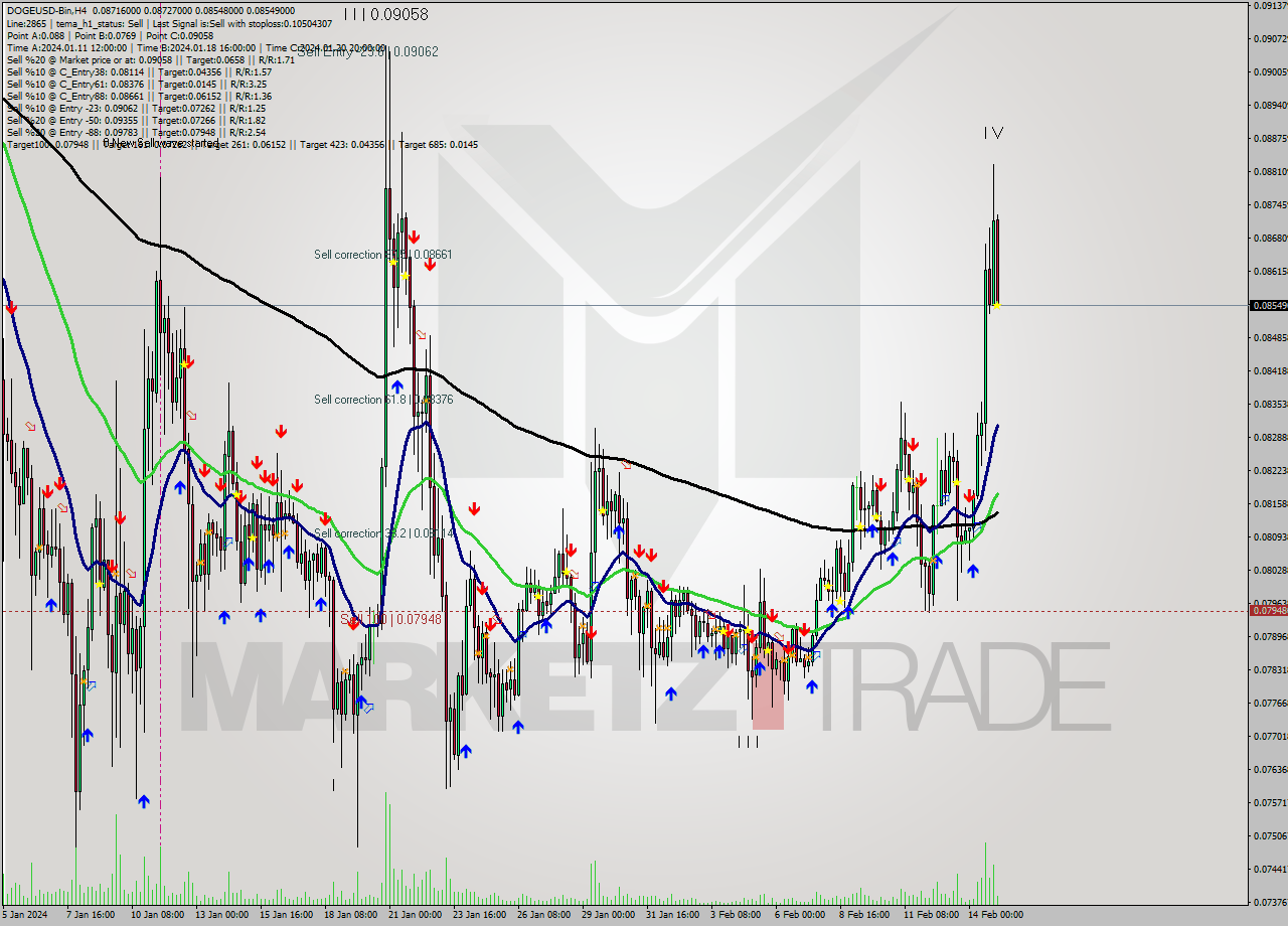 DOGEUSD-Bin MultiTimeframe analysis at date 2024.02.15 07:56