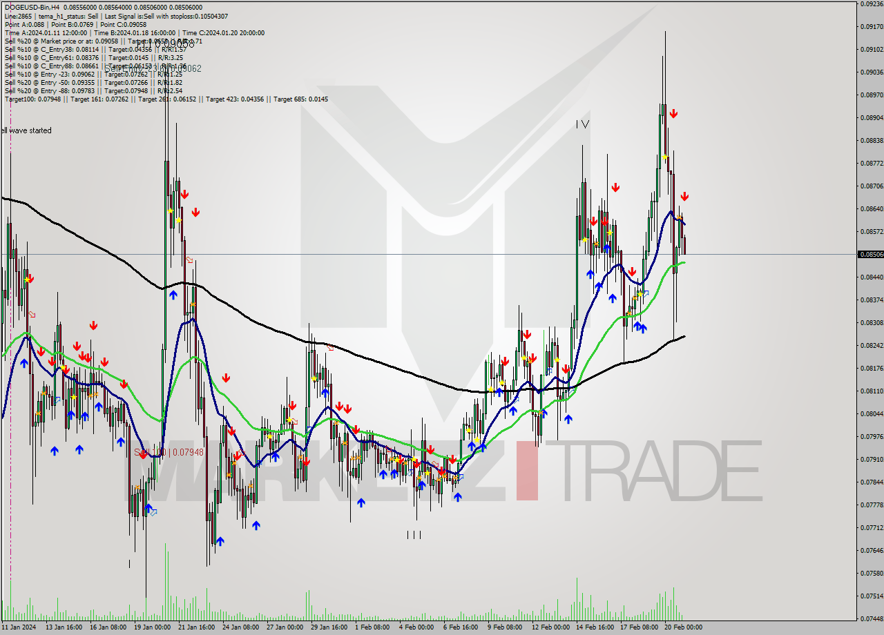 DOGEUSD-Bin MultiTimeframe analysis at date 2024.02.21 06:32