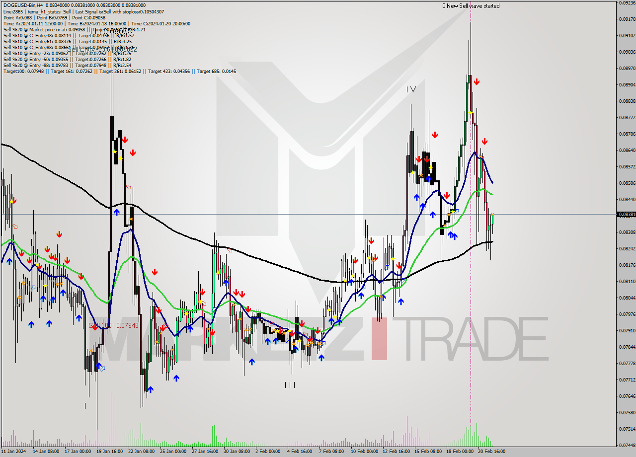 DOGEUSD-Bin MultiTimeframe analysis at date 2024.02.21 23:41