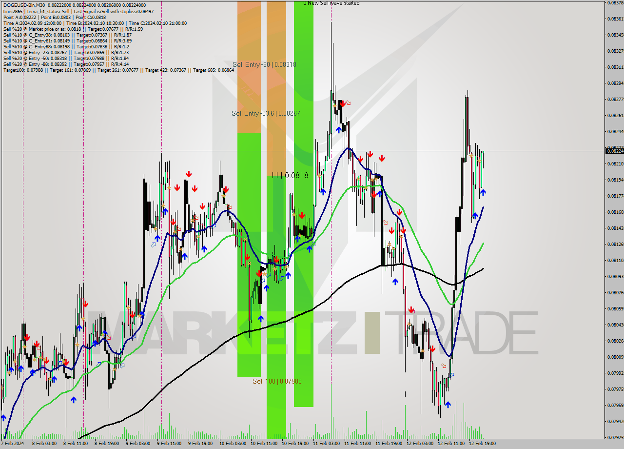 DOGEUSD-Bin M30 Signal
