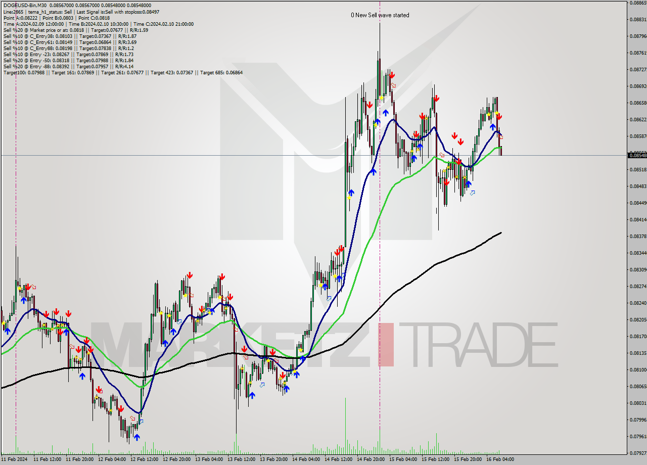 DOGEUSD-Bin M30 Signal