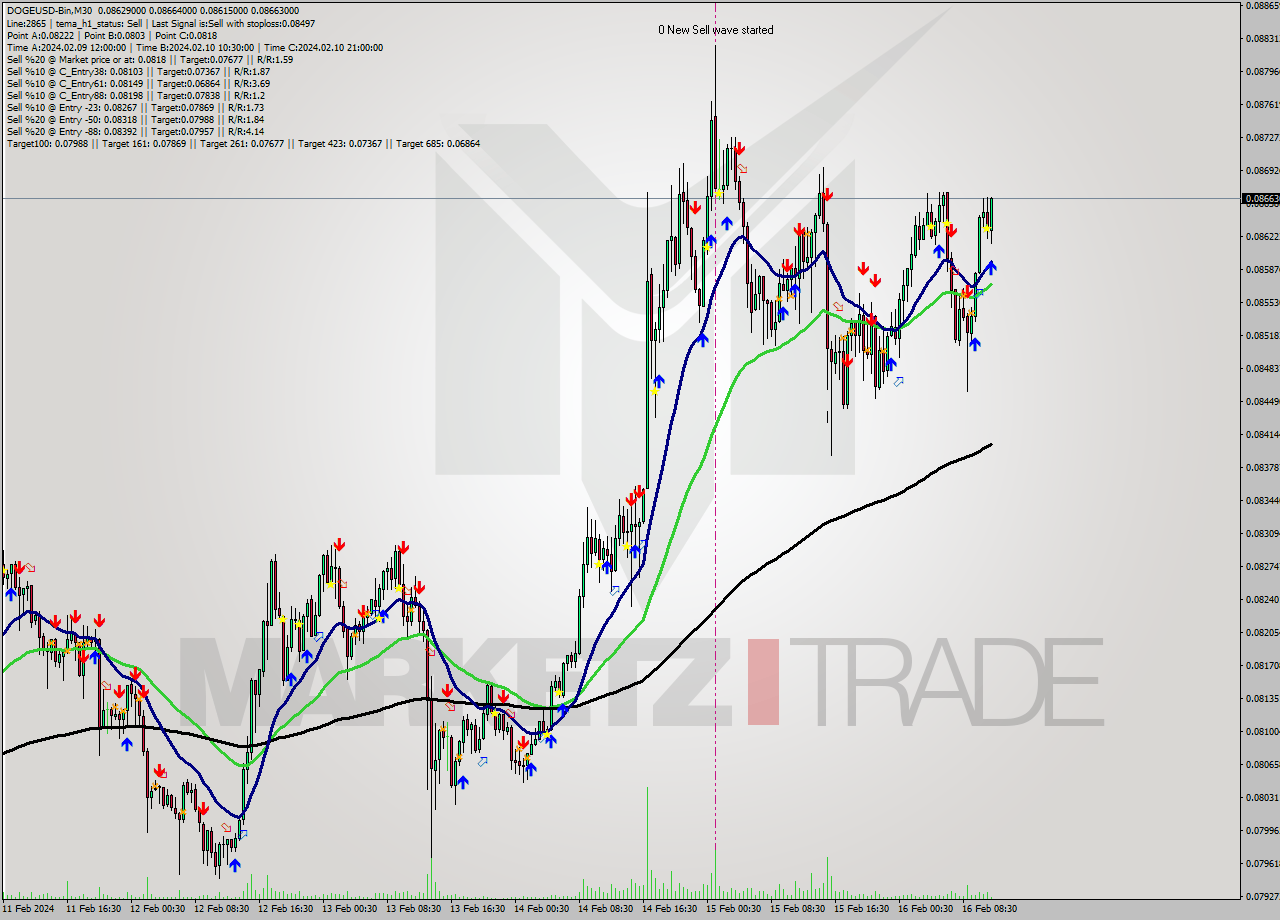 DOGEUSD-Bin M30 Signal