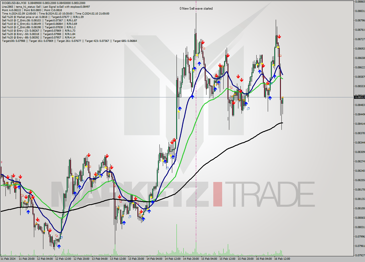DOGEUSD-Bin M30 Analysis DOGEUSD-Bin M30 Signal