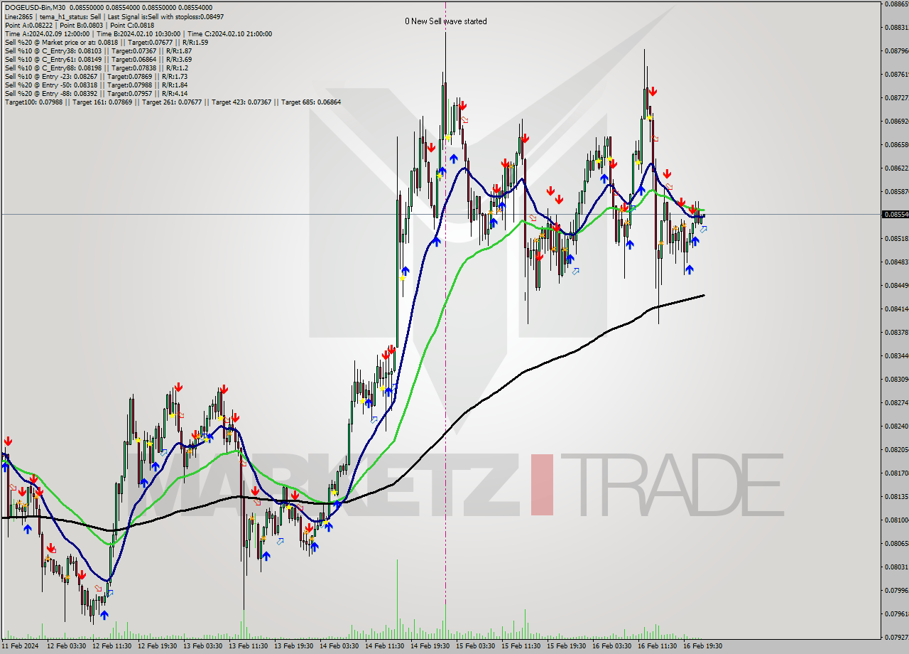 DOGEUSD-Bin M30 Analysis DOGEUSD-Bin M30 Signal