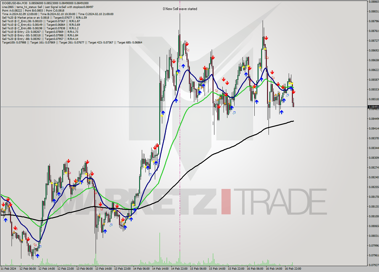DOGEUSD-Bin M30 Analysis DOGEUSD-Bin M30 Signal