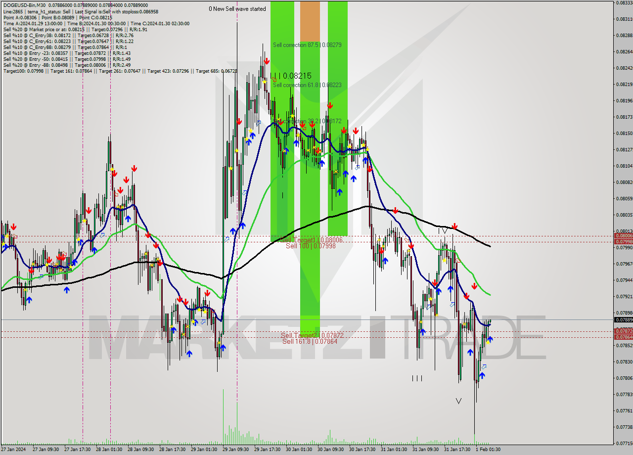 DOGEUSD-Bin M30 Signal