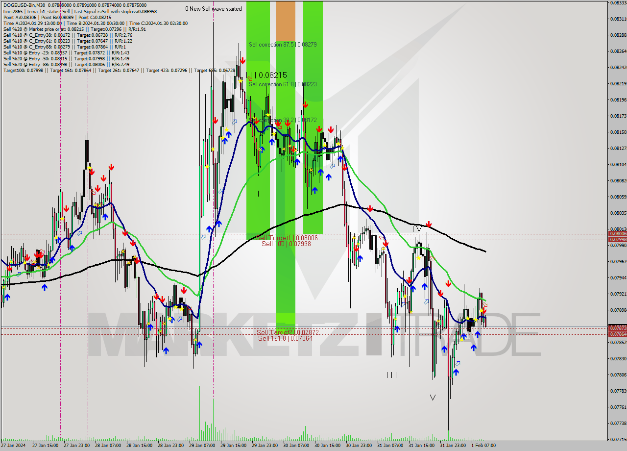 DOGEUSD-Bin M30 Signal