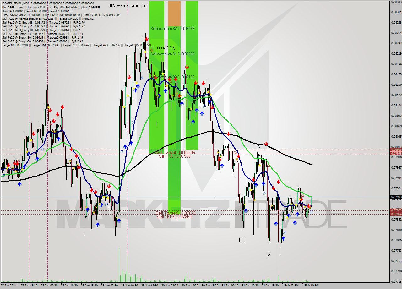 DOGEUSD-Bin M30 Signal