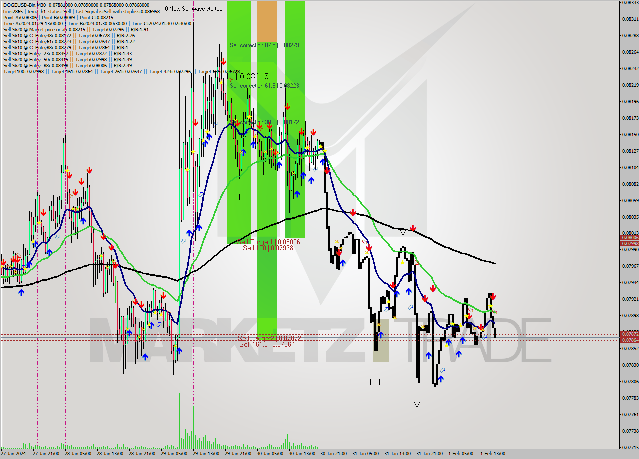 DOGEUSD-Bin M30 Signal