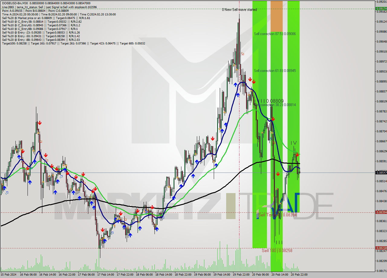 DOGEUSD-Bin M30 Analysis DOGEUSD-Bin M30 Signal