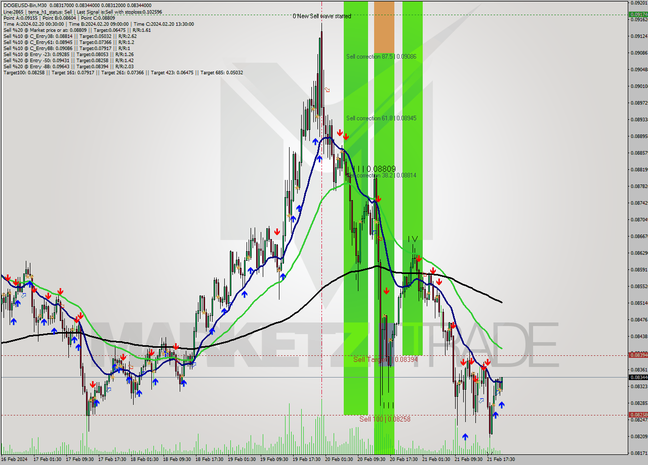 DOGEUSD-Bin M30 Signal