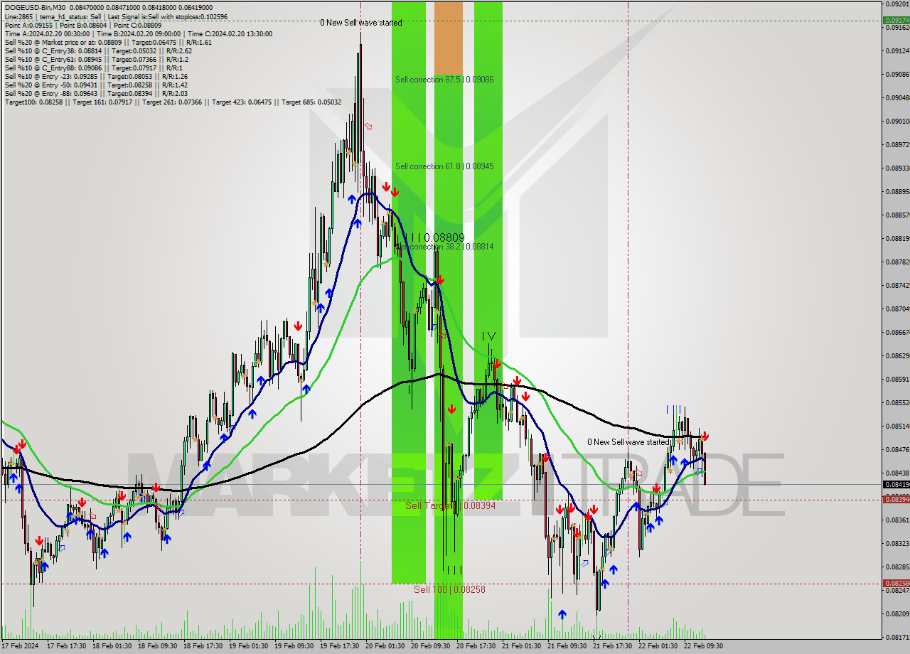 DOGEUSD-Bin M30 Signal