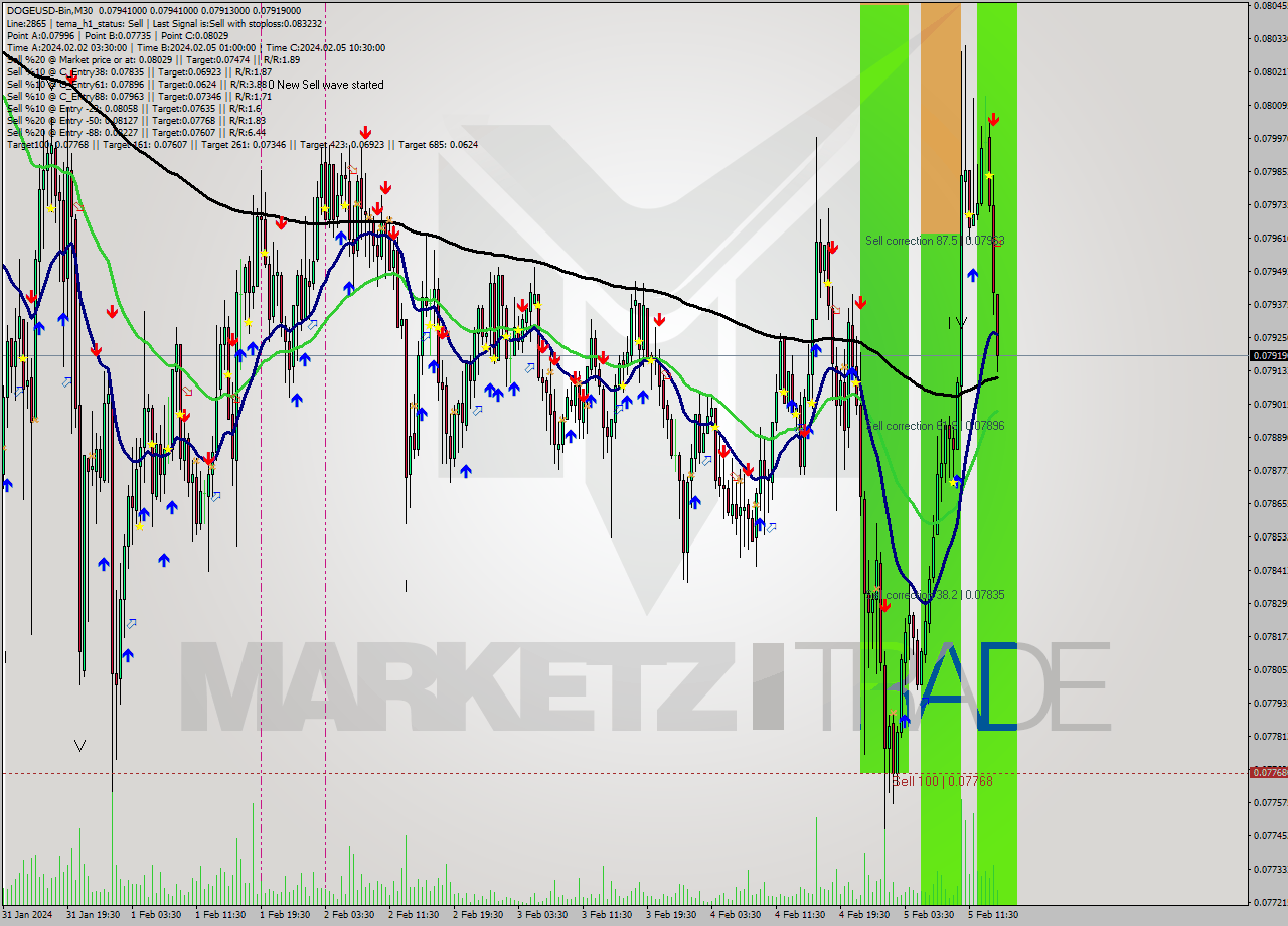 DOGEUSD-Bin M30 Signal