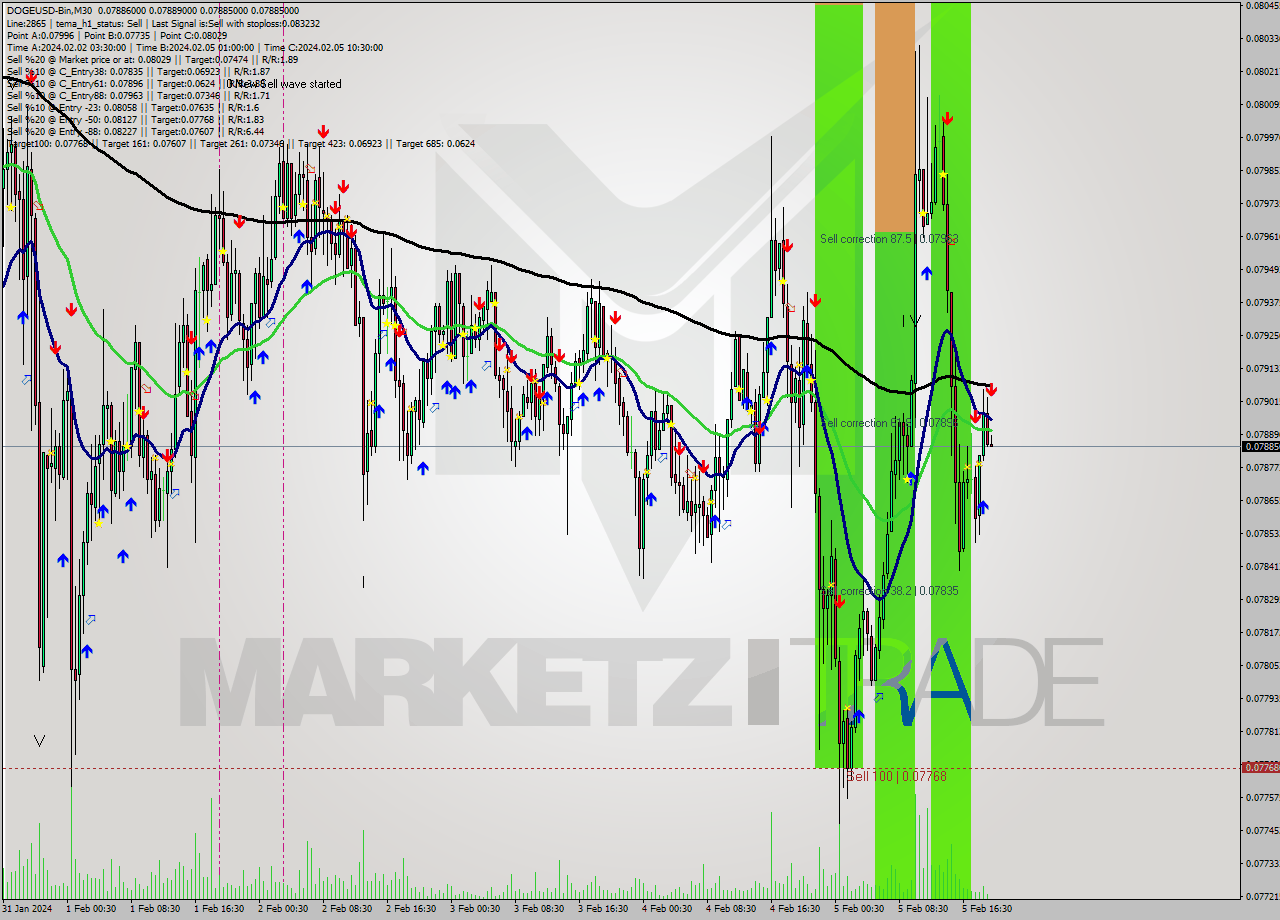 DOGEUSD-Bin M30 Signal