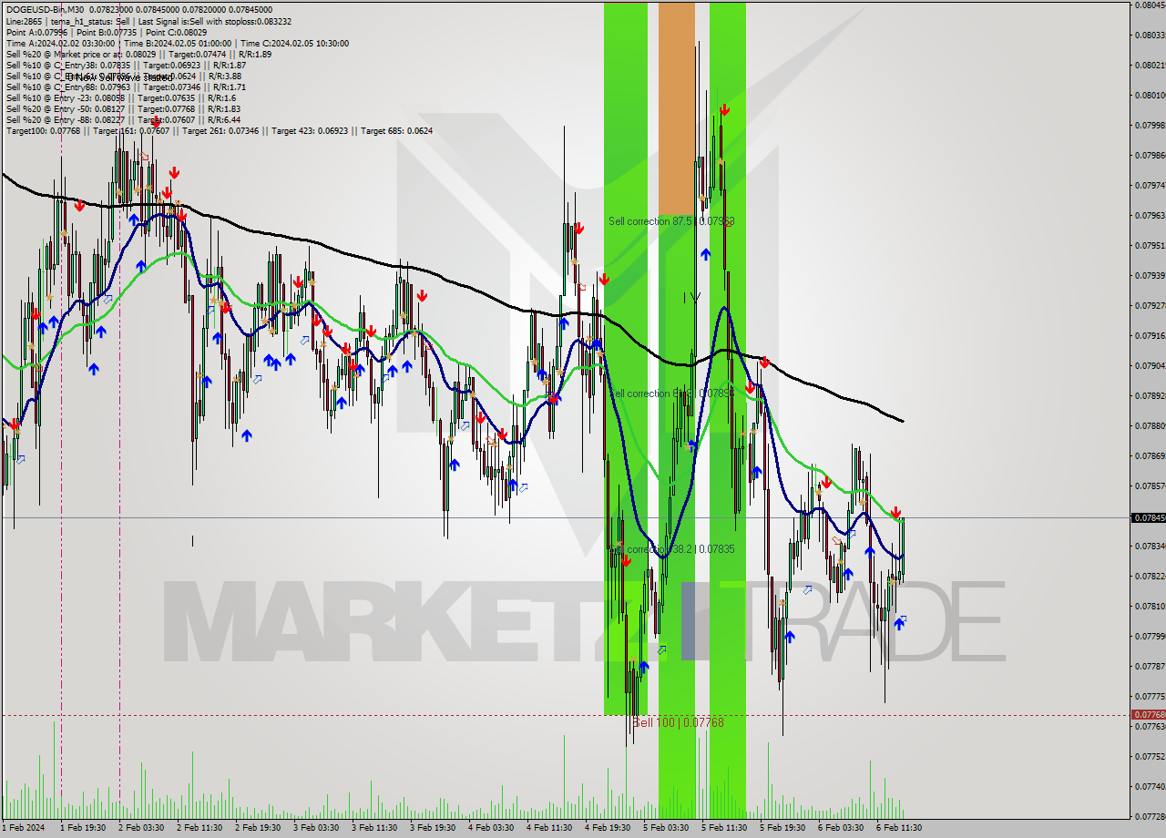 DOGEUSD-Bin M30 Signal