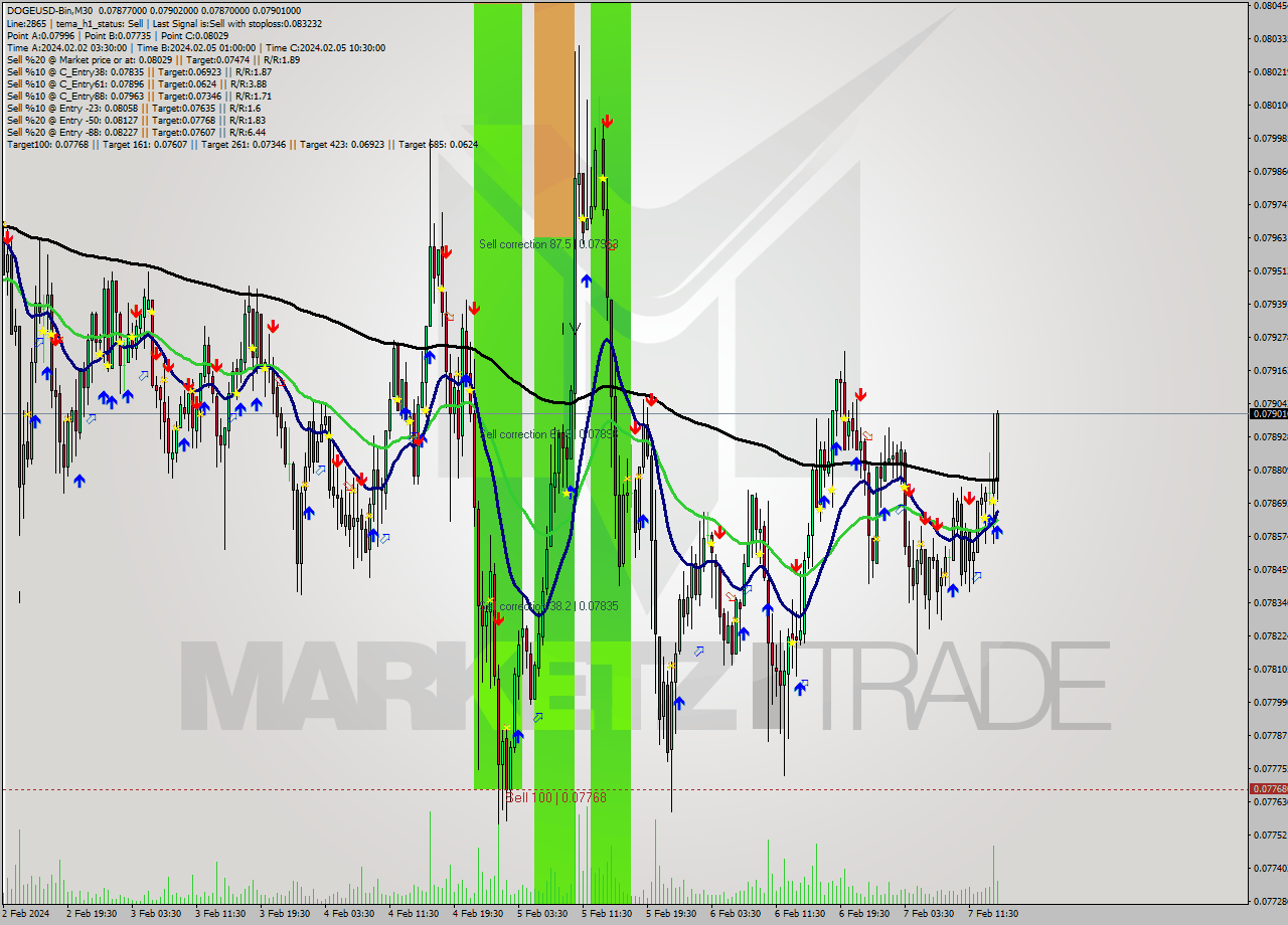 DOGEUSD-Bin M30 Signal