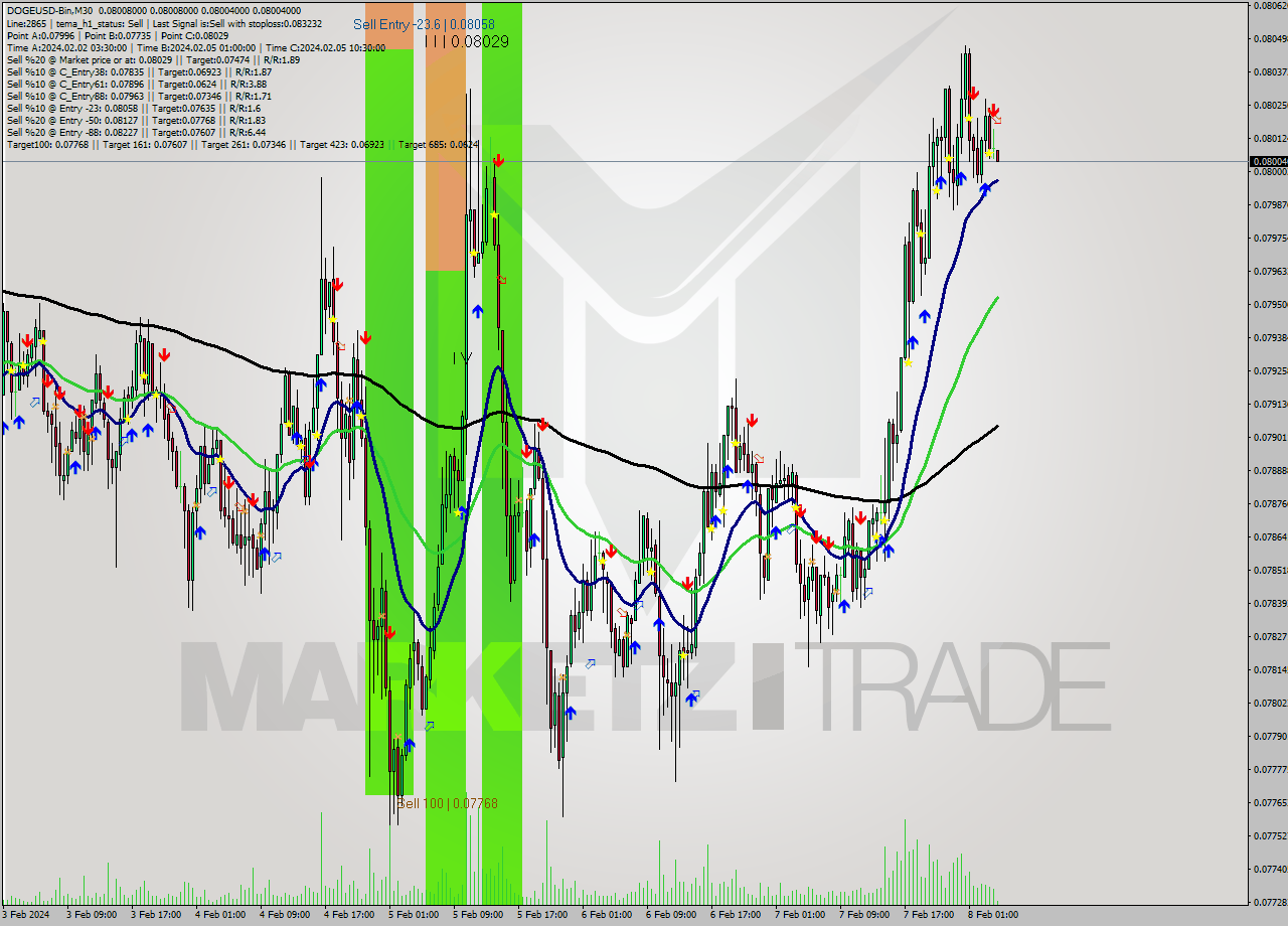 DOGEUSD-Bin M30 Signal