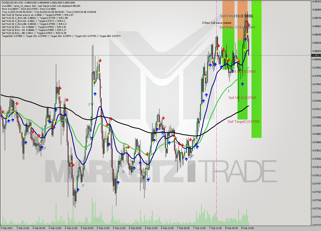 DOGEUSD-Bin M30 Signal