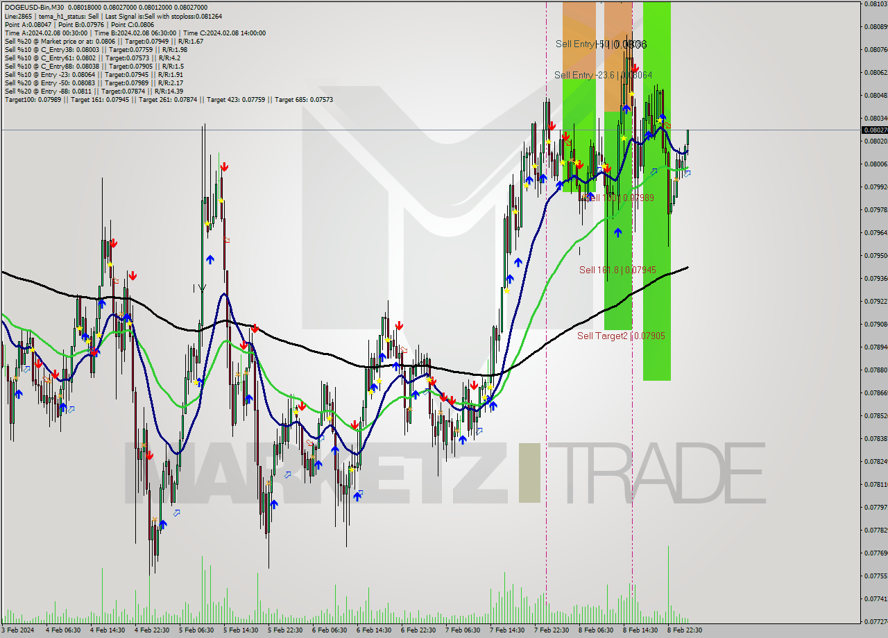 DOGEUSD-Bin M30 Signal