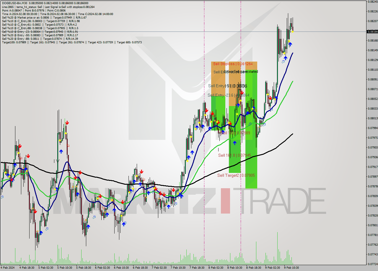 DOGEUSD-Bin M30 Signal