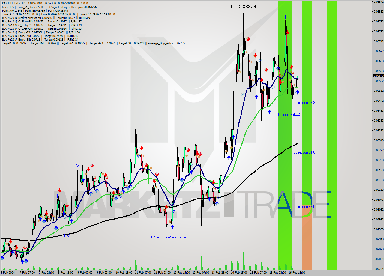 DOGEUSD-Bin H1 Analysis DOGEUSD-Bin H1 Signal