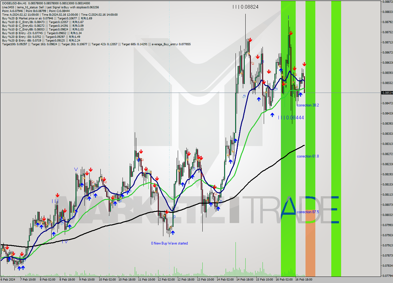 DOGEUSD-Bin H1 Analysis DOGEUSD-Bin H1 Signal