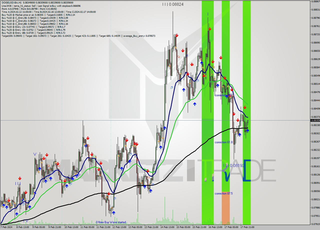 DOGEUSD-Bin H1 Analysis DOGEUSD-Bin H1 Signal