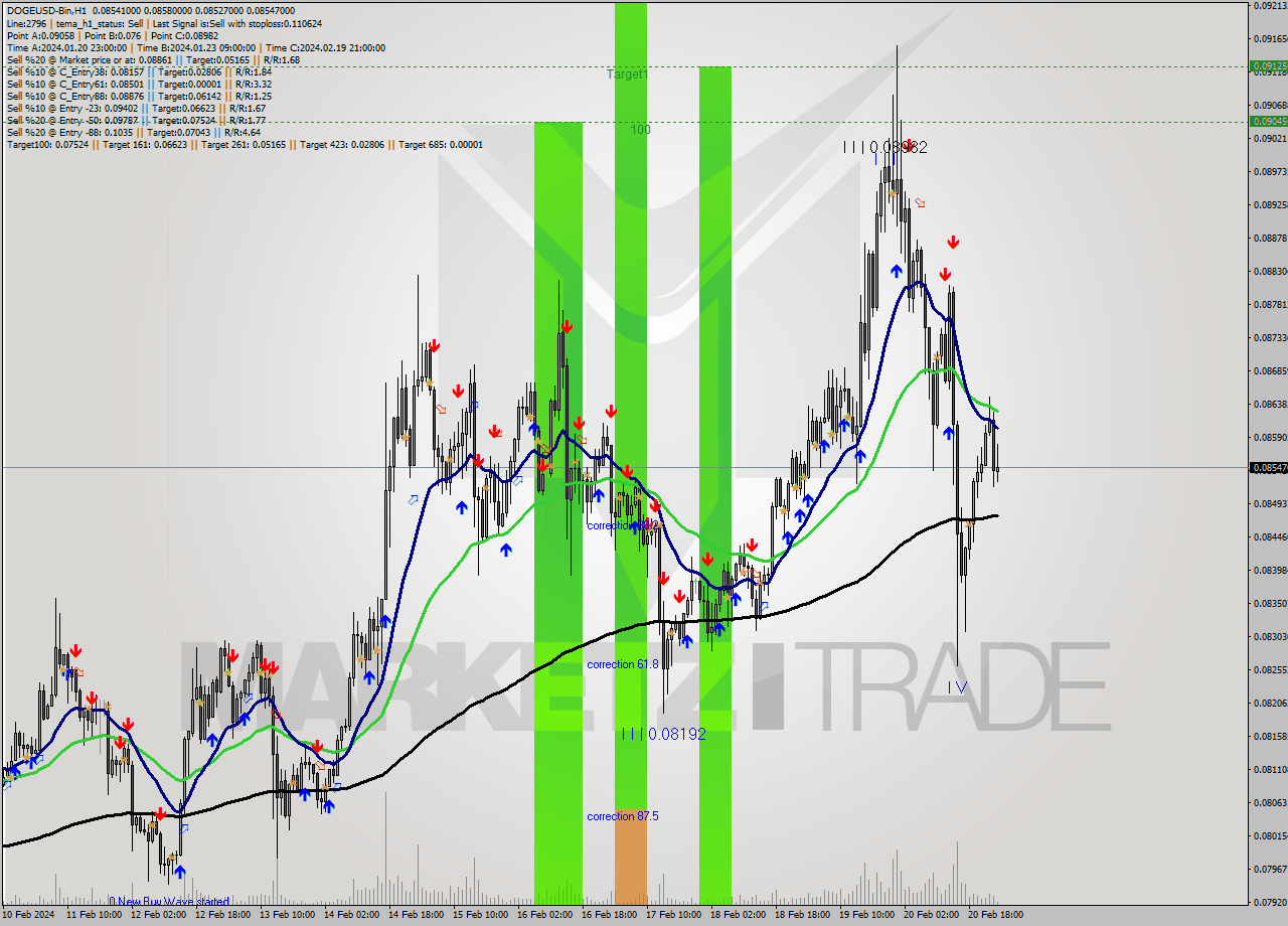 DOGEUSD-Bin H1 Analysis DOGEUSD-Bin H1 Signal