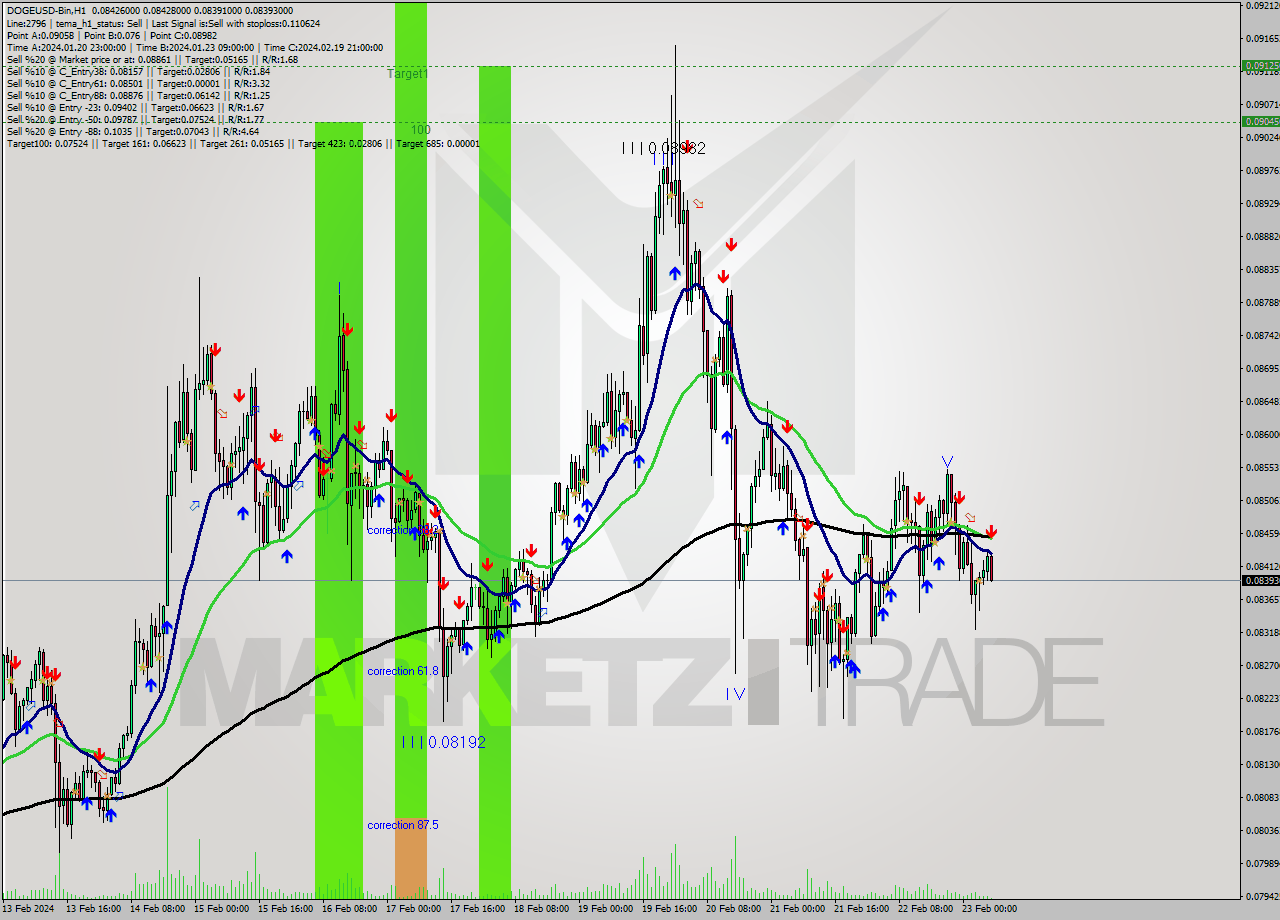 DOGEUSD-Bin H1 Analysis DOGEUSD-Bin H1 Signal
