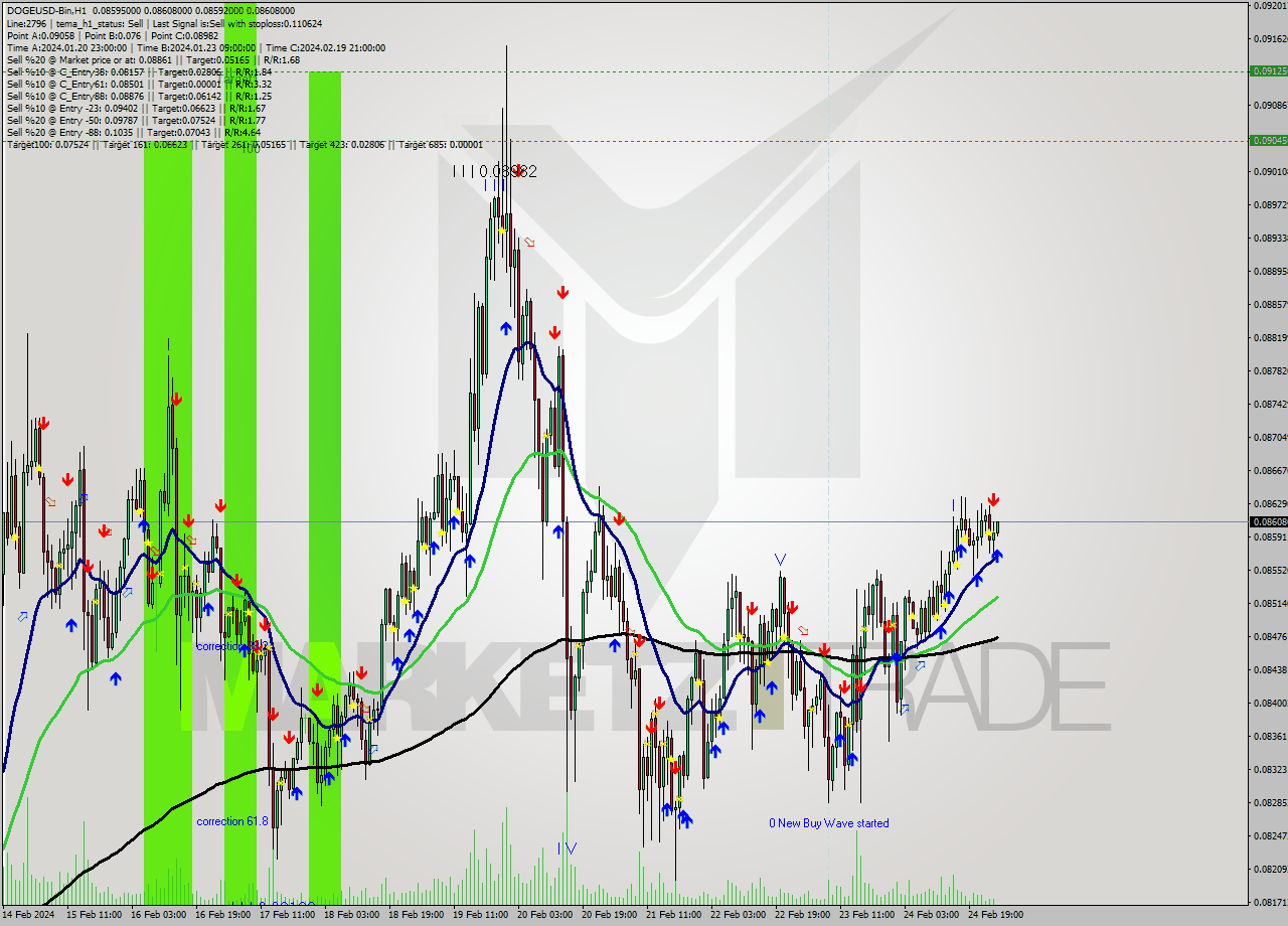DOGEUSD-Bin H1 Analysis DOGEUSD-Bin H1 Signal