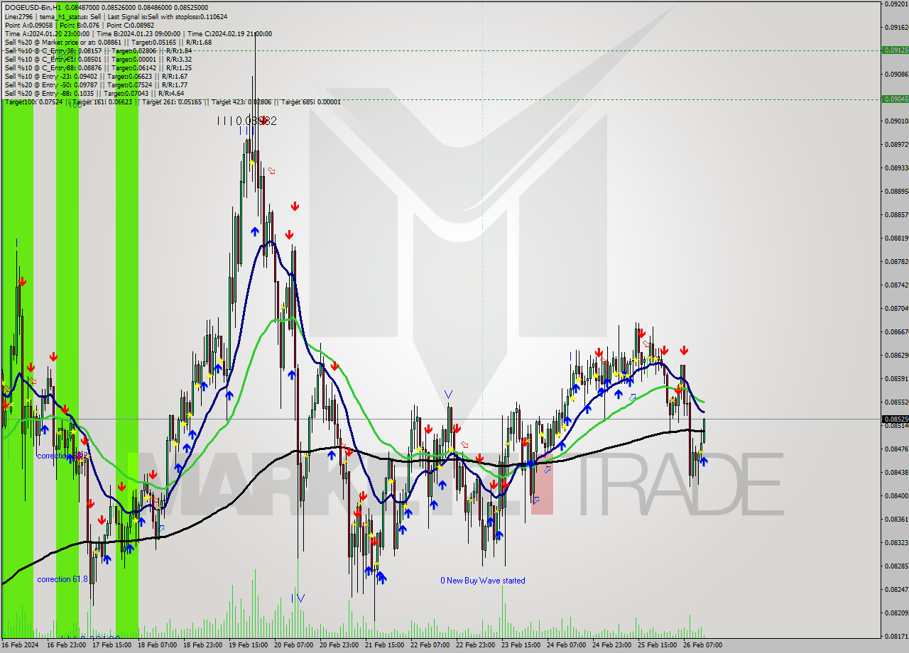 DOGEUSD-Bin H1 Analysis DOGEUSD-Bin H1 Signal
