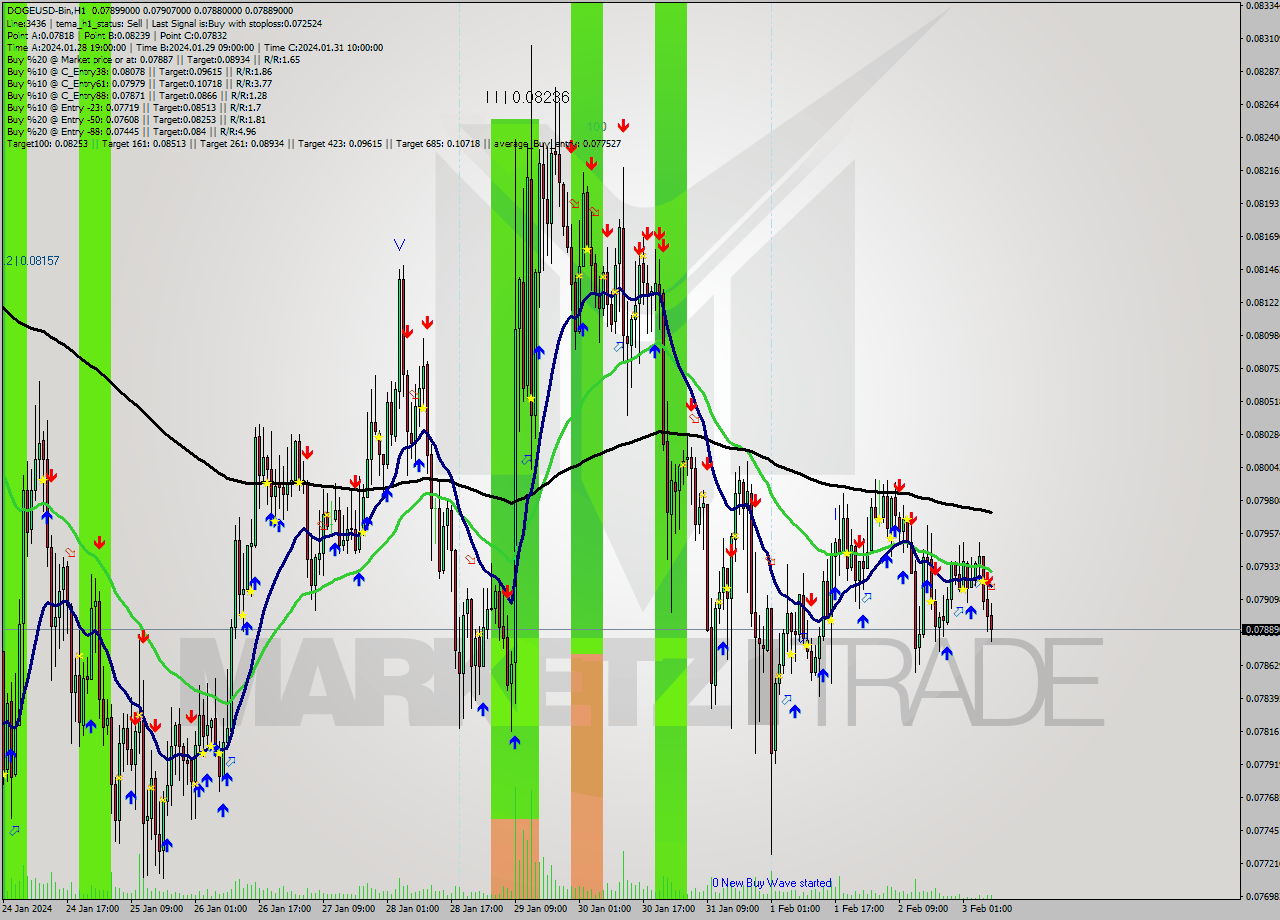 DOGEUSD-Bin H1 Analysis DOGEUSD-Bin H1 Signal
