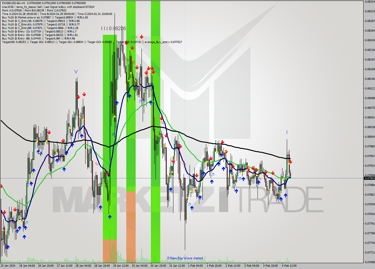 DOGEUSD-Bin H1 Signal