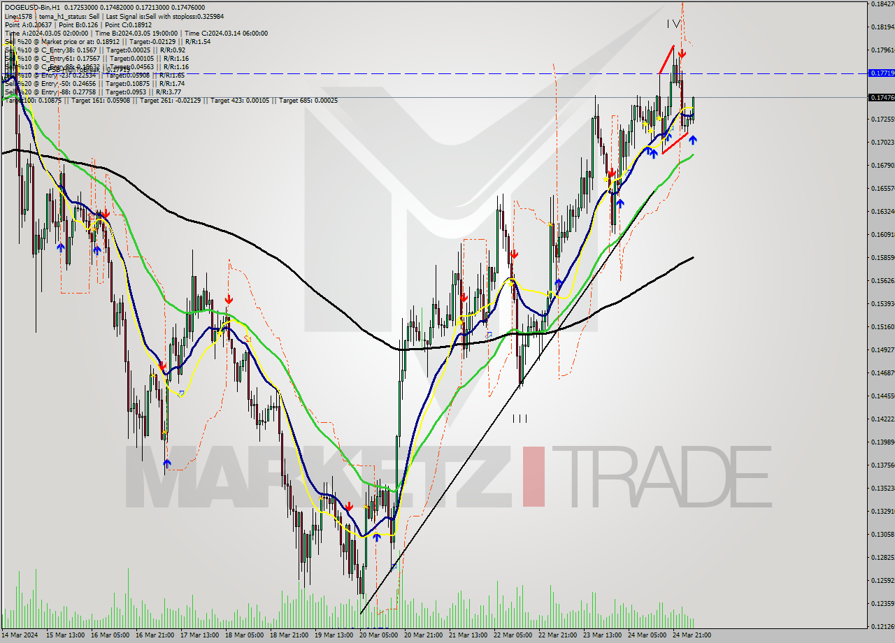 DOGEUSD-Bin MultiTimeframe analysis at date 2024.03.25 06:59