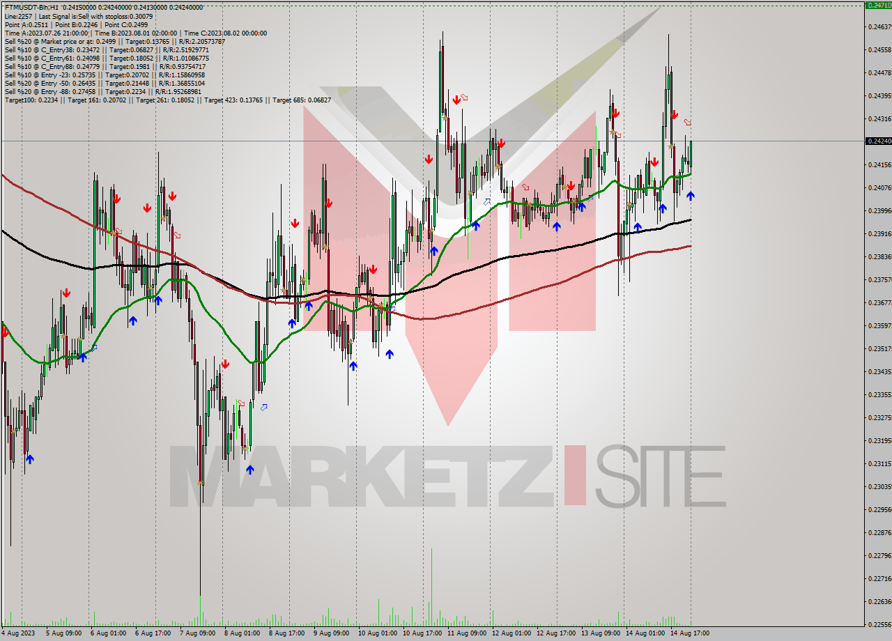 FTMUSDT-Bin H1 Signal