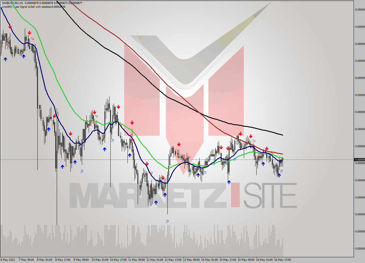 SHIBUSD-Bin H1 Signal