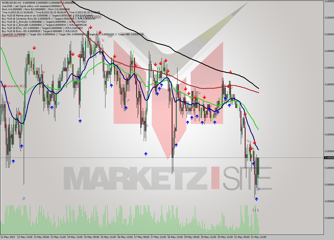 SHIBUSD-Bin H1 Signal