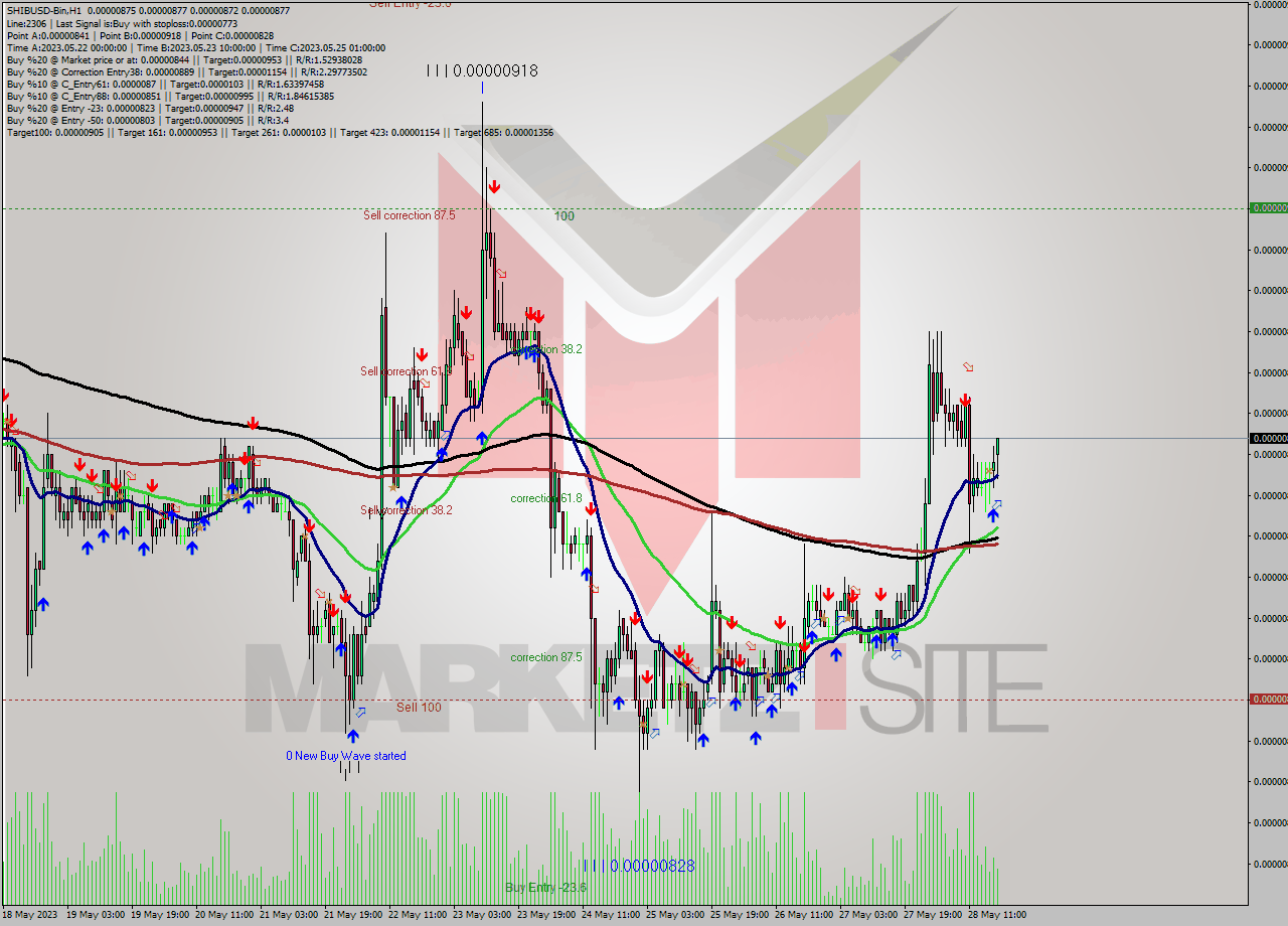 SHIBUSD-Bin H1 Signal