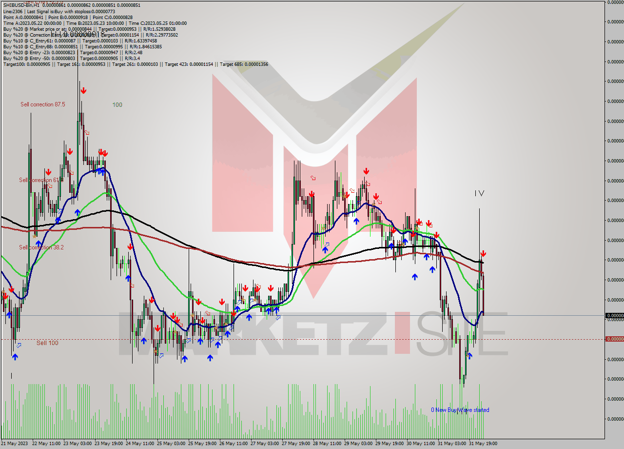 SHIBUSD-Bin H1 Signal