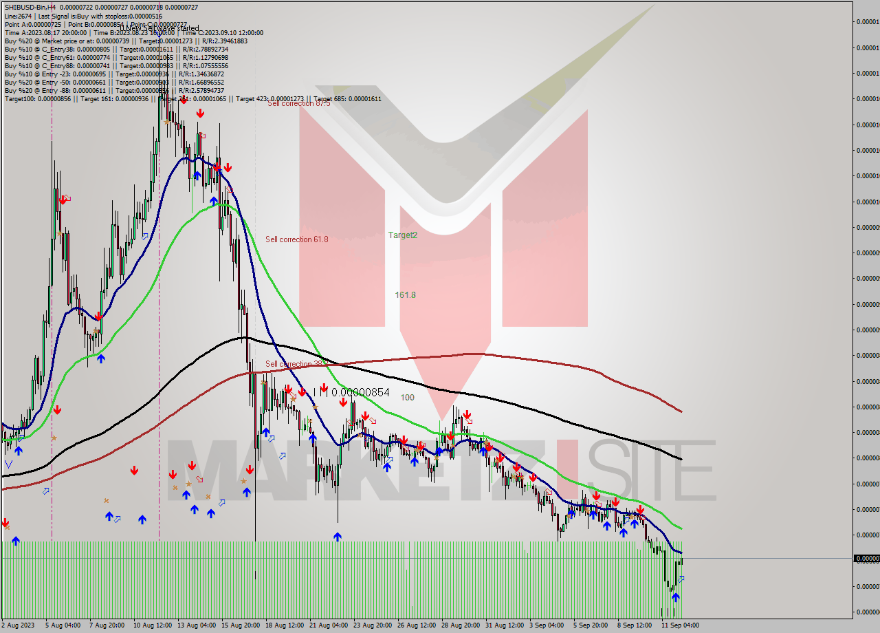 SHIBUSD-Bin MultiTimeframe analysis at date 2023.09.12 13:20