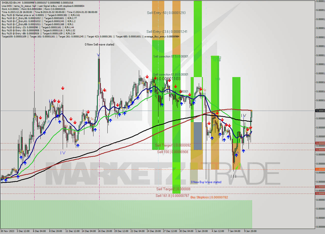 SHIBUSD-Bin MultiTimeframe analysis at date 2024.01.11 05:11