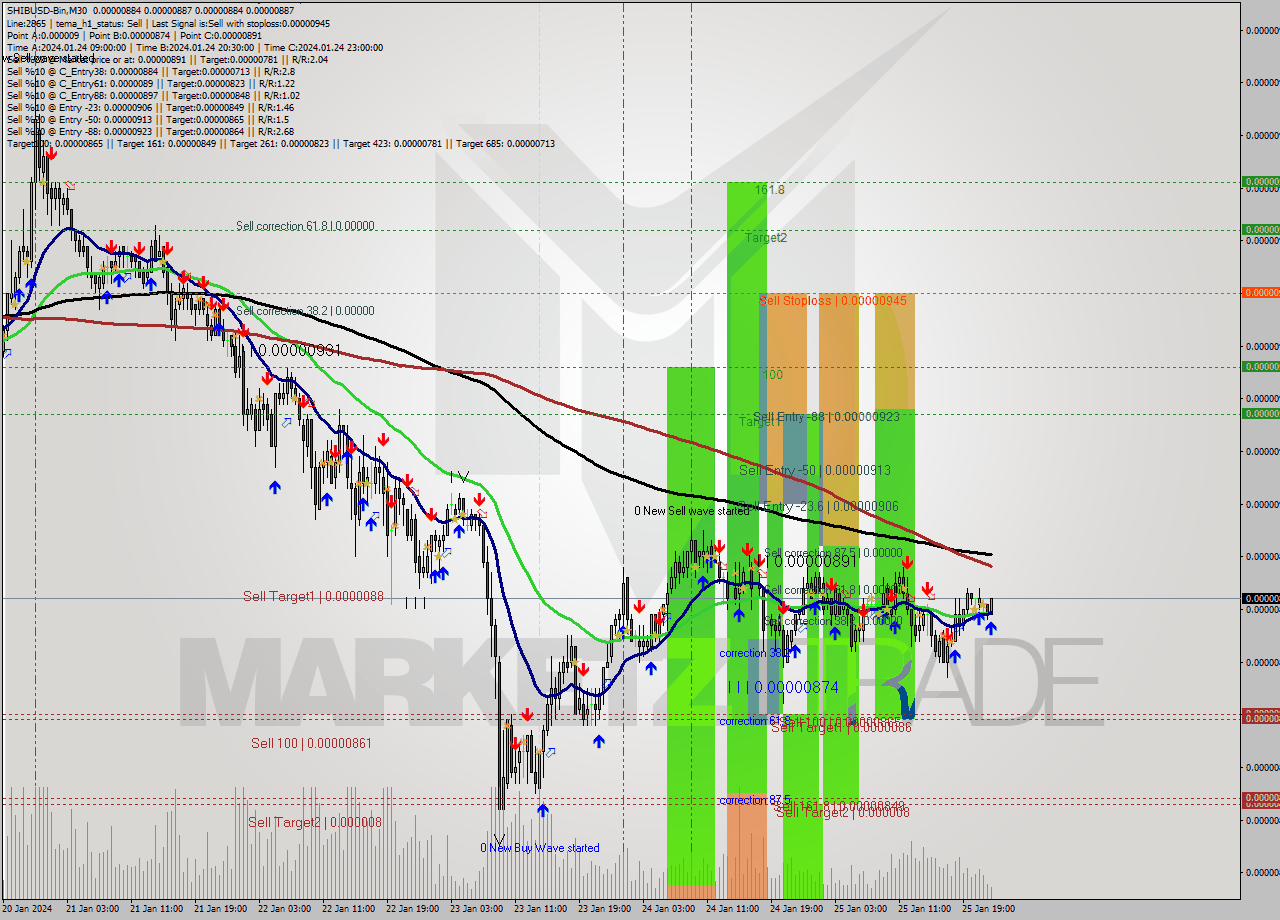 SHIBUSD-Bin M30 Analysis SHIBUSD-Bin M30 Signal