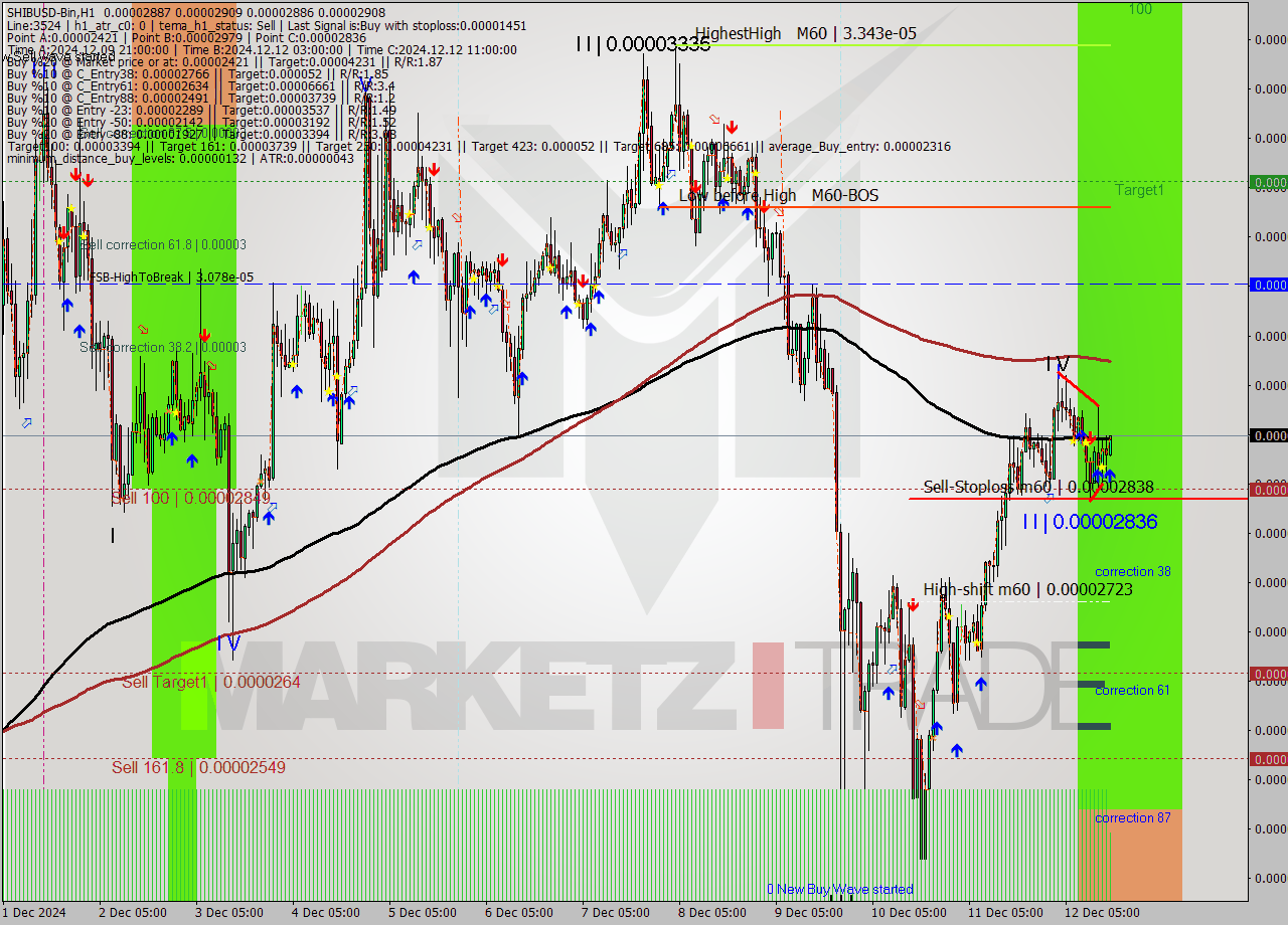 SHIBUSD-Bin MultiTimeframe analysis at date 2024.12.12 18:02