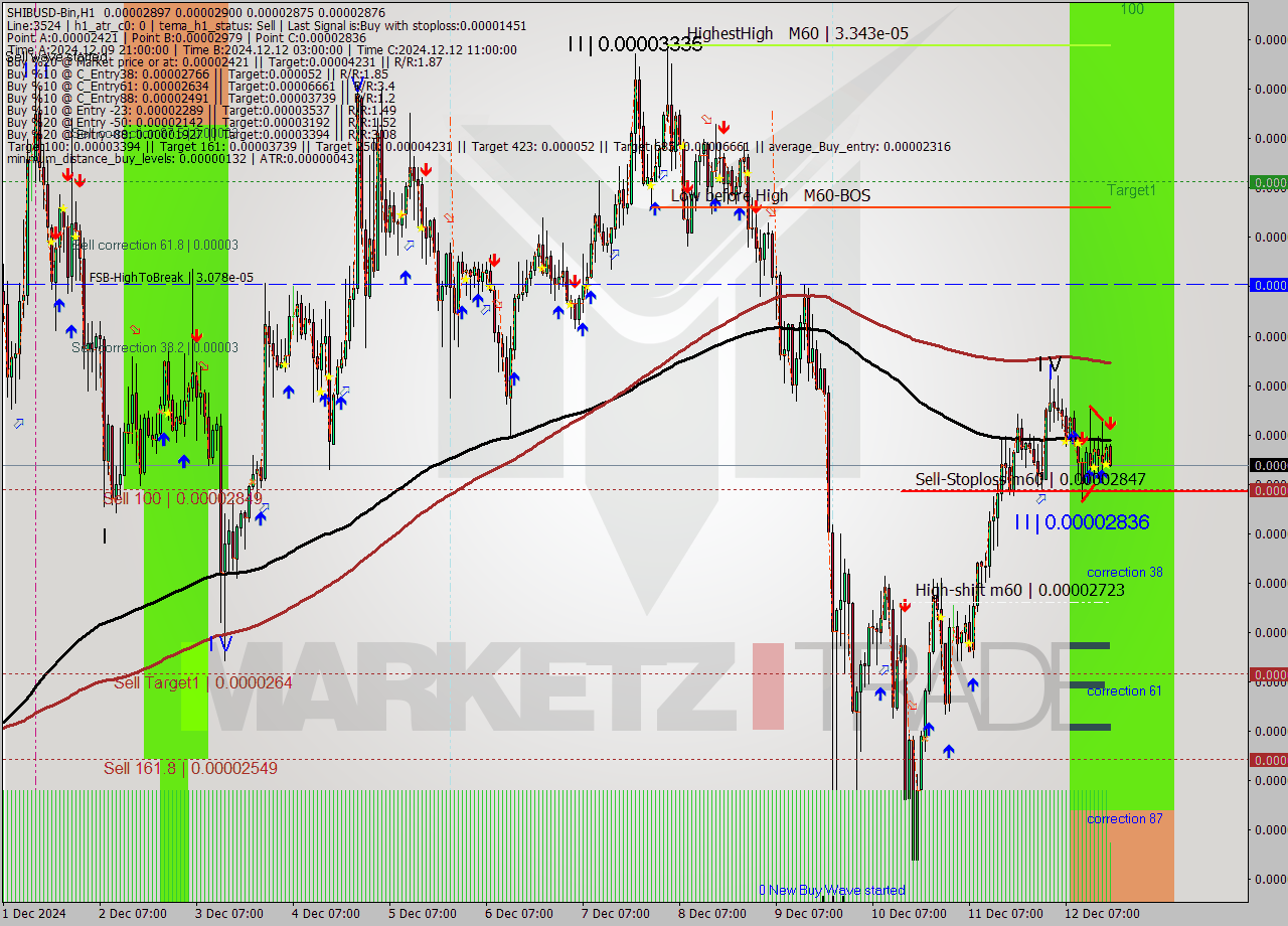 SHIBUSD-Bin MultiTimeframe analysis at date 2024.12.12 20:34