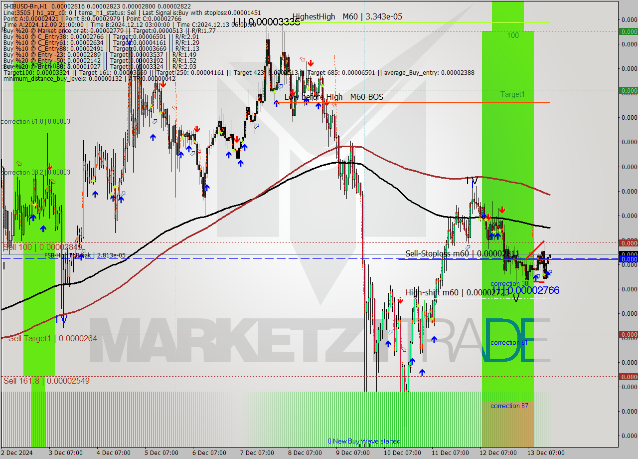 SHIBUSD-Bin MultiTimeframe analysis at date 2024.12.13 20:40