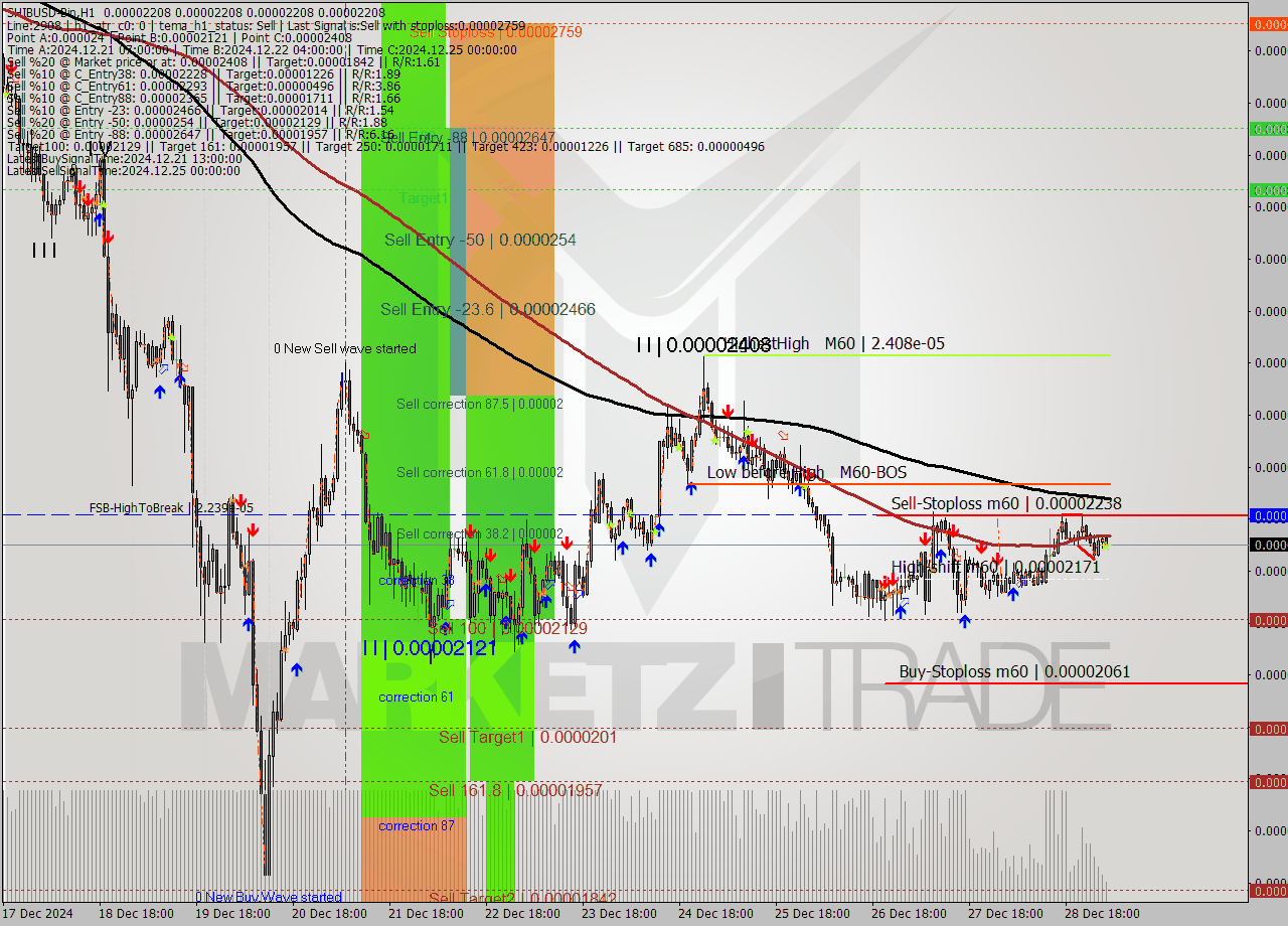 SHIBUSD-Bin MultiTimeframe analysis at date 2024.12.29 07:00