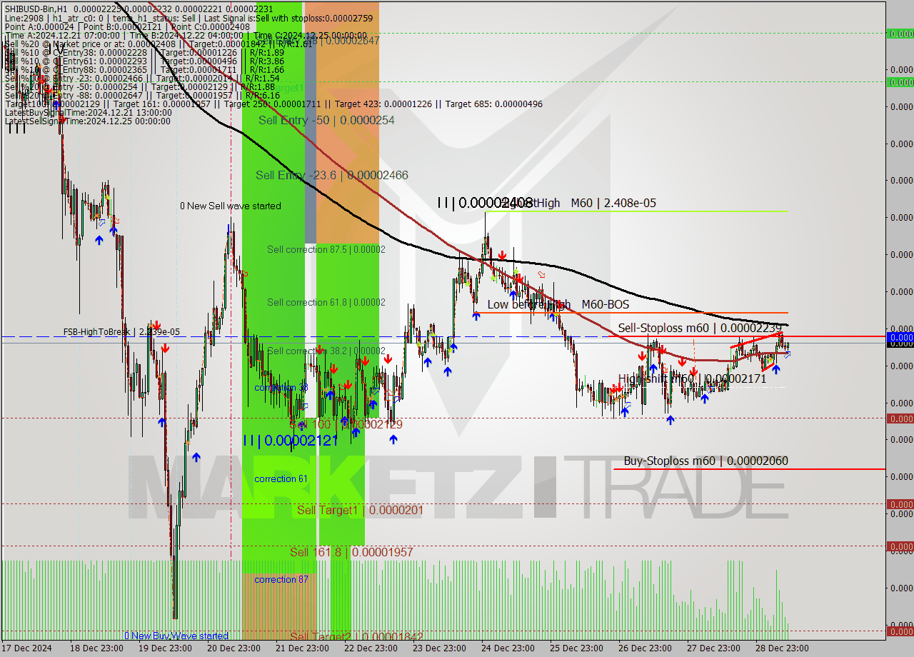 SHIBUSD-Bin MultiTimeframe analysis at date 2024.12.29 12:22