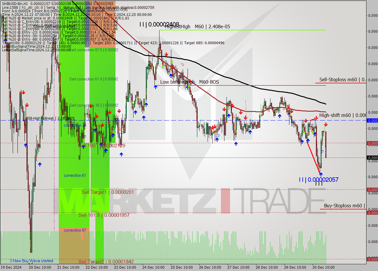 SHIBUSD-Bin MultiTimeframe analysis at date 2024.12.30 23:40