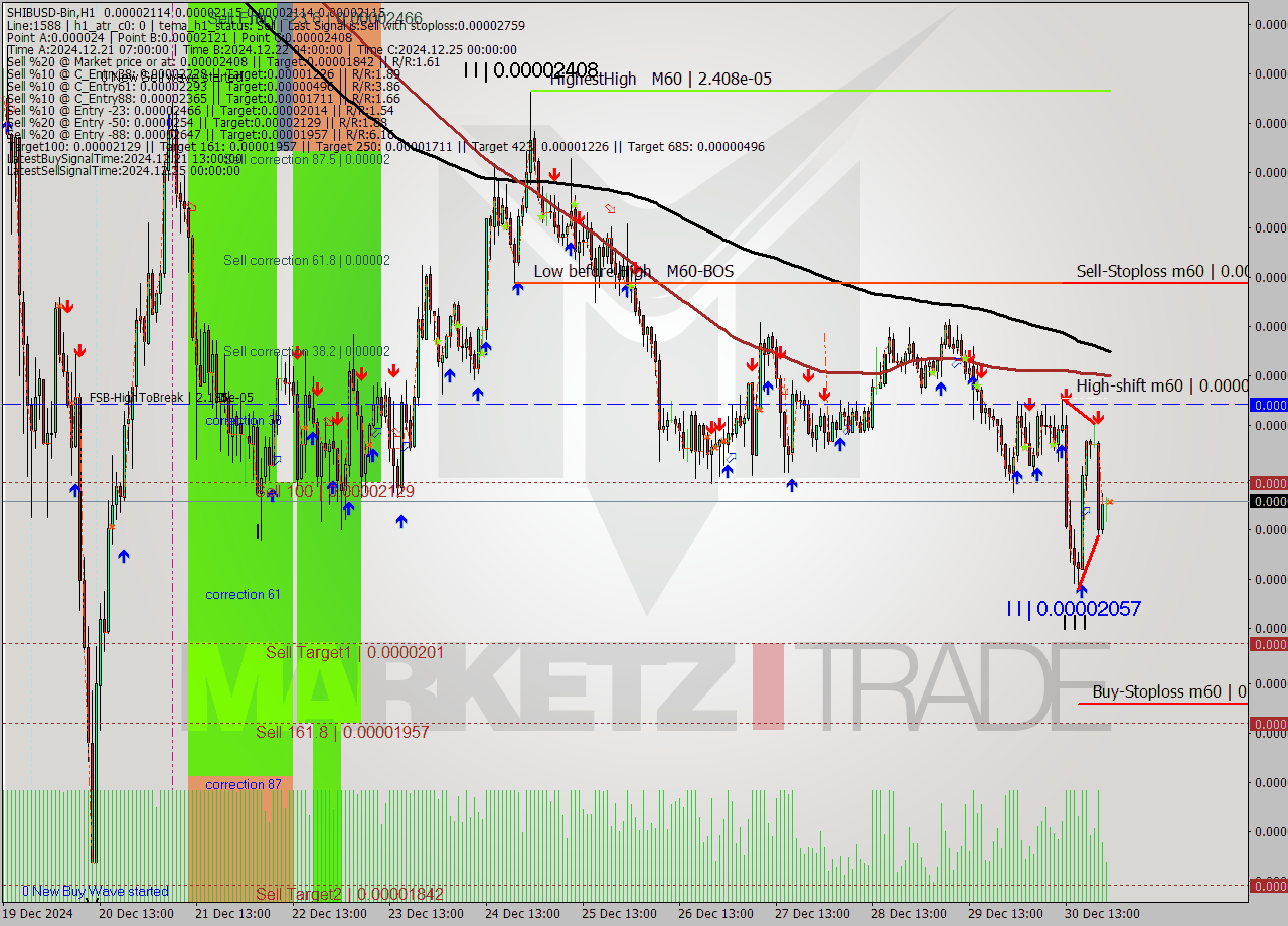 SHIBUSD-Bin MultiTimeframe analysis at date 2024.12.31 02:00